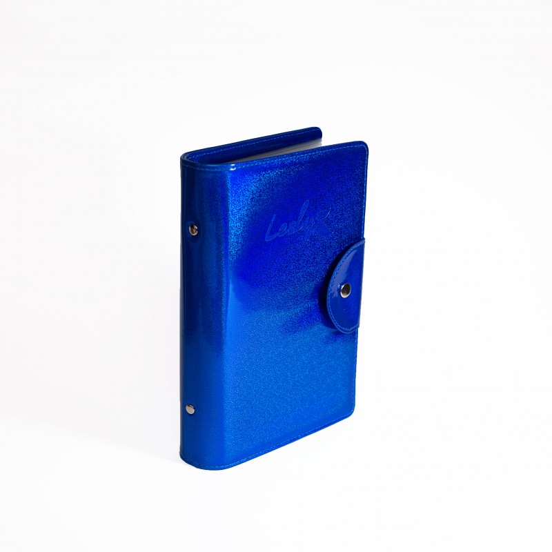 Универсальный органайзер Lesly для хранения пластин лазерный синий