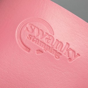 Кейс для пластин Swanky Stamping, на 20 пластин, розовый